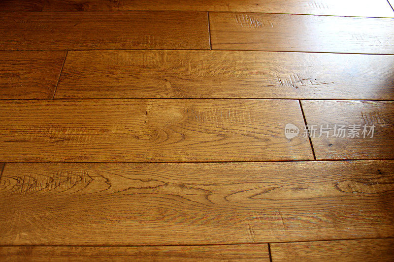 室内硬木地板/轻橡木地板的形象